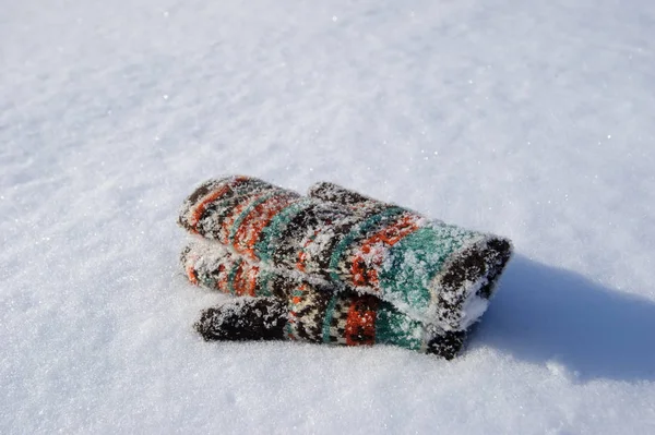 Manoplas congeladas en la nieve — Foto de Stock