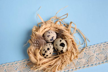 Mavi arka plan üzerinde hasır bir yuvada bıldırcın yumurtası