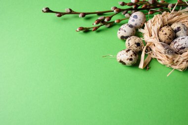 Yeşil zemin üzerine saman bir yuvada bıldırcın yumurtası