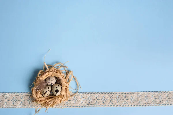 Quail eggs in a straw nest on the blue background — Stock Photo, Image