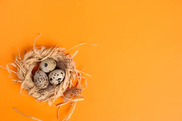 주황색 배경에 짚 둥지에 메 추 라 기 달걀 — 스톡 사진