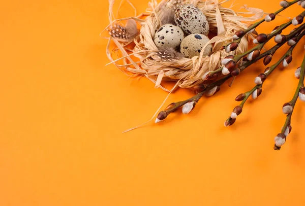 Quail eggs in a straw nest on the orange background — Stock Photo, Image