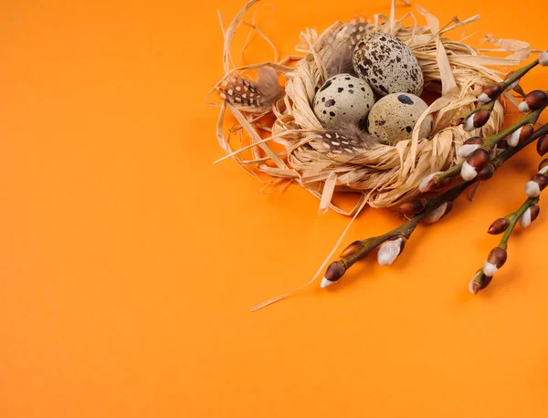 Quail eggs in a straw nest on the orange background — Stock Photo, Image