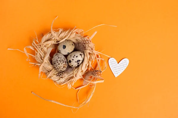 Quail eggs in a straw nest on the orange background — Stock Photo, Image