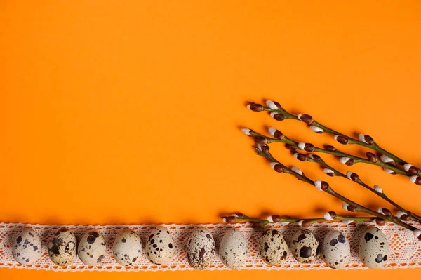 Quail eggs on the orange background — Stock Photo, Image