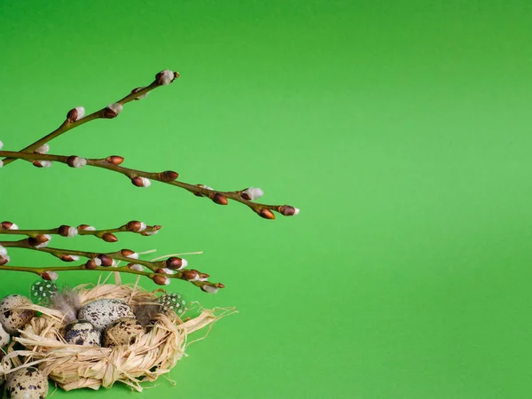 Quail eggs in a straw nest on the green background — Stock Photo, Image