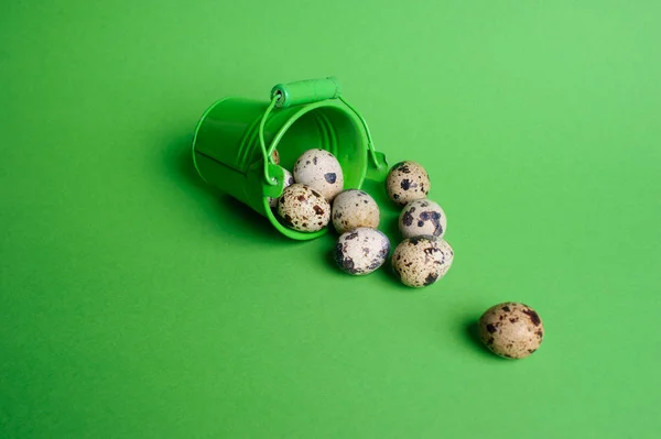 Küçük dekoratif kova yeşil backgrou bıldırcın yumurtalarının dolu — Stok fotoğraf