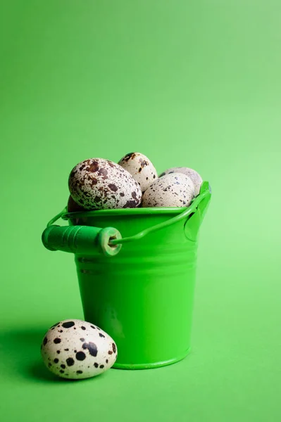 Pequeños cubos decorativos rellenos de huevos de codorniz en el fondo verde — Foto de Stock