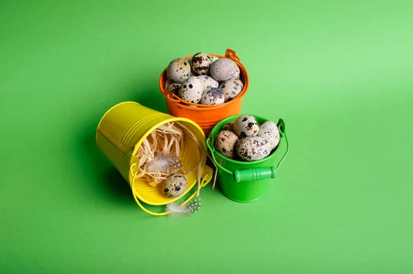 Malé dekorativní kbelíky plné Křepelčí vejce na zelené poz — Stock fotografie