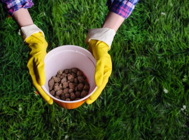 Toprak kadın elinde plastik saksıyı çim zemin üzerine