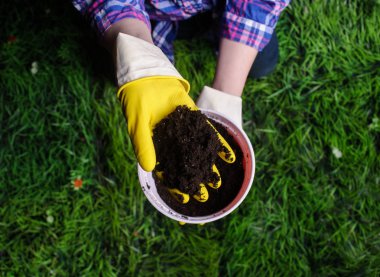 Toprak kadın elinde plastik saksıyı çim zemin üzerine