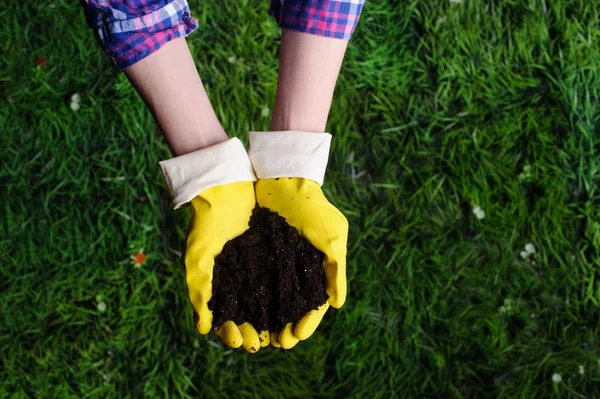 Tanah di tangan wanita pada latar belakang rumput — Stok Foto