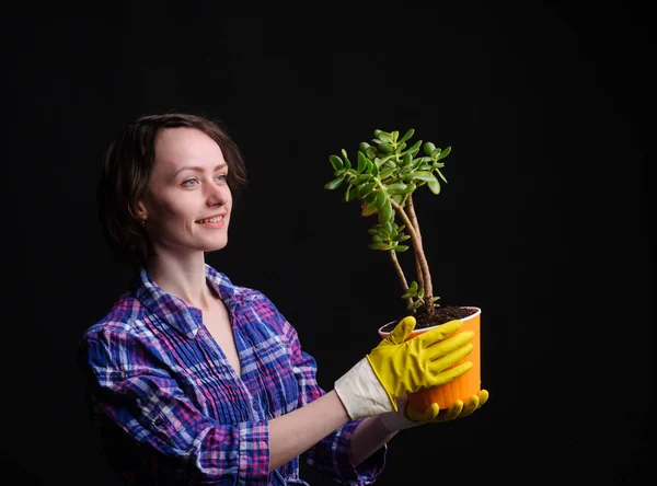 Kvinnans Händer Transplantera Växt Till Kruka — Stockfoto