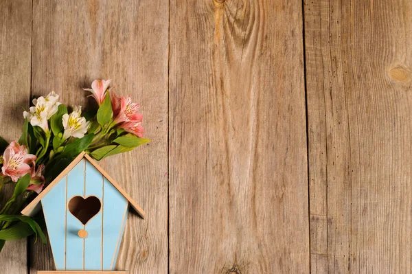 Blue Starling Box Birds Wooden Background — Stock Photo, Image