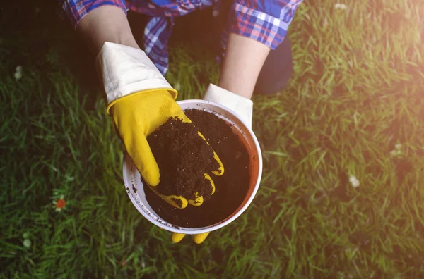 Les mains de la femme transplantent une plante dans un nouveau pot — Photo