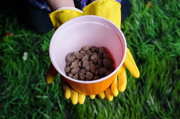 Gleby w ręce kobiety, plastikowe doniczki na tle trawy — Zdjęcie stockowe