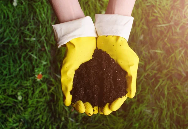 Tanah di tangan wanita pada latar belakang rumput — Stok Foto