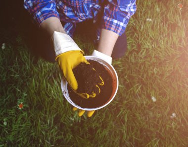 Toprak kadın elinde plastik saksıyı çim zemin üzerine