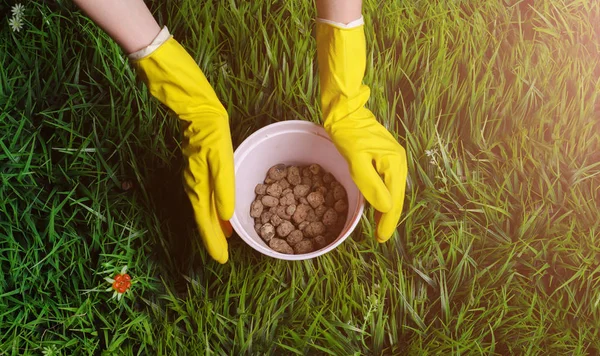 Toprak kadın elinde plastik saksıyı çim zemin üzerine