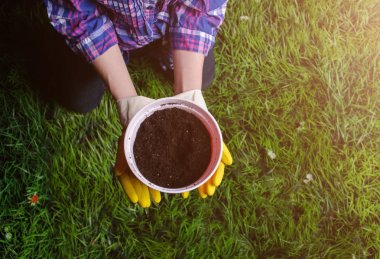 Toprak kadın elinde plastik saksıyı çim zemin üzerine