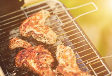 Barbekü ızgara et çeşitli türleri ile