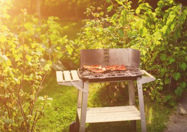 Barbekü ızgara et çeşitli türleri ile