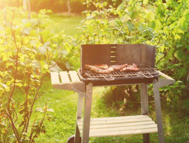 Barbekü ızgara et çeşitli türleri ile