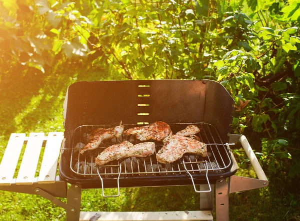 Barbekü ızgara et çeşitli türleri ile — Stok fotoğraf