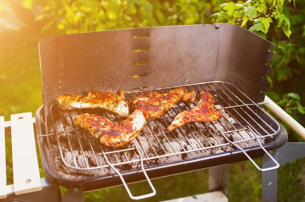 Barbekü ızgara et çeşitli türleri ile — Stok fotoğraf