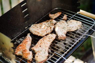 Barbekü ızgara et çeşitli türleri ile