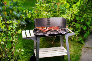 Barbekü ızgara et çeşitli türleri ile