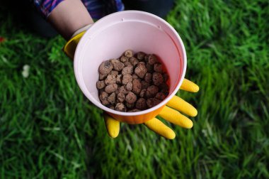 Toprak kadın elinde plastik saksıyı çim zemin üzerine