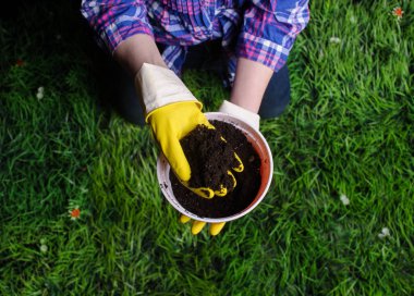 Toprak kadın elinde plastik saksıyı çim zemin üzerine