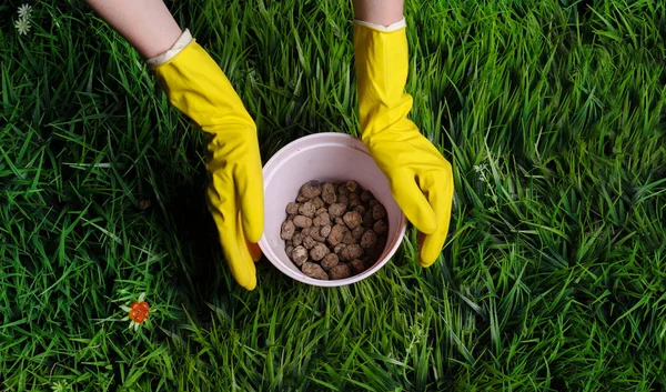 Terreno Mani Donna Vaso Fiori Plastica Sfondo Erba — Foto Stock