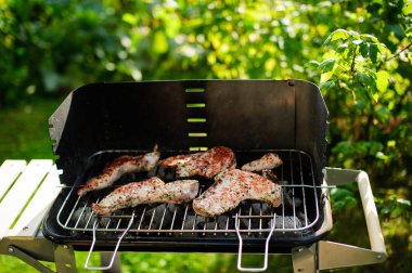 Barbekü ızgara et açık çeşitli türleri ile