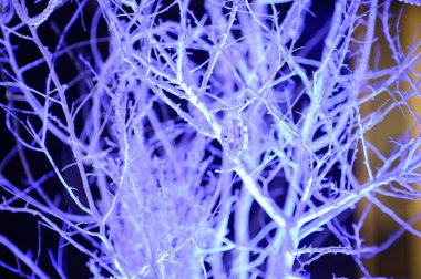 derin mavi renklerde kış noel arka plan