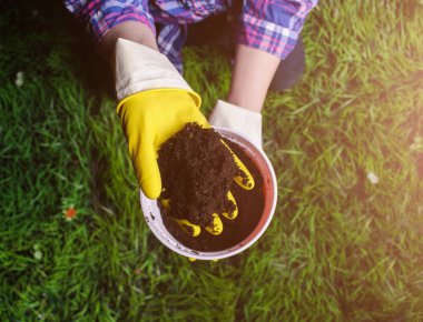 Toprak kadın elinde plastik saksıyı çim zemin üzerine