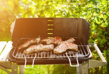 Barbekü ızgara et çeşitli türleri ile