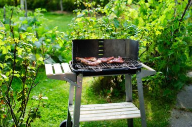 Barbekü ızgara et çeşitli türleri ile