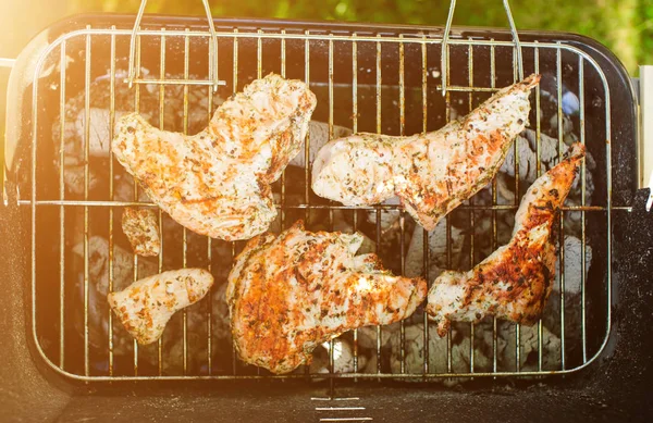 Barbecue grill avec divers types de viande — Photo