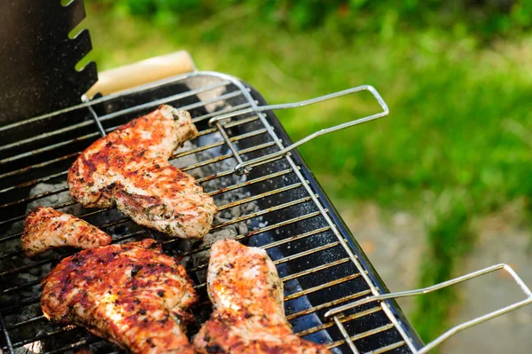 Barbekü ızgara et çeşitli türleri ile — Stok fotoğraf