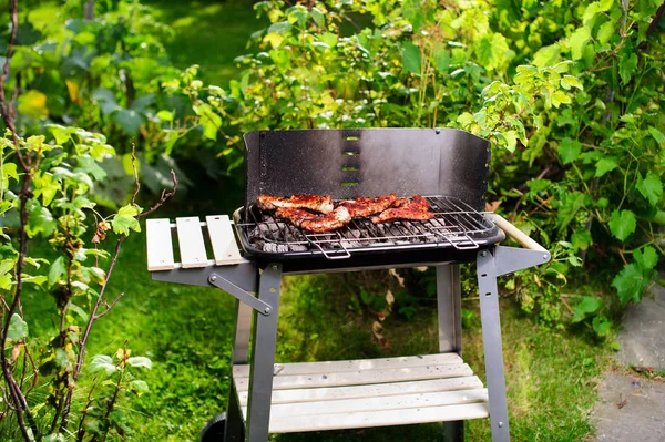 Barbekü ızgara et çeşitli türleri ile