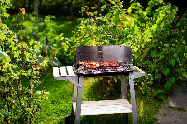 Barbekü ızgara et çeşitli türleri ile