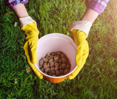 Toprak kadın elinde plastik saksıyı çim zemin üzerine