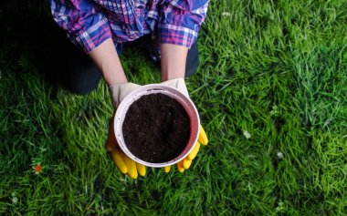 Toprak kadın elinde plastik saksıyı çim zemin üzerine