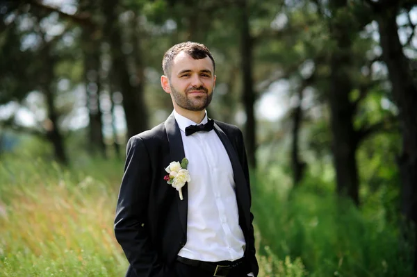 Novio Preparándose Mañana Para Ceremonia Boda —  Fotos de Stock