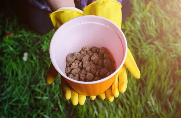 Terreno in mani di donna, vaso di fiori di plastica su sfondo erba — Foto Stock