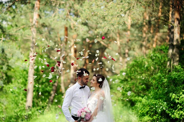 Bruden och brudgummen med rosenblad — Stockfoto
