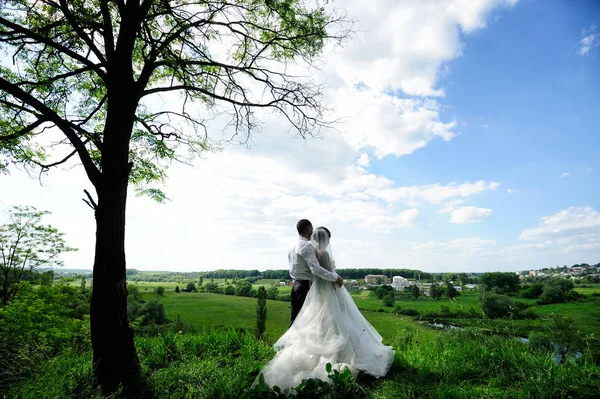 Vackra bröllopsparet i skogen — Stockfoto