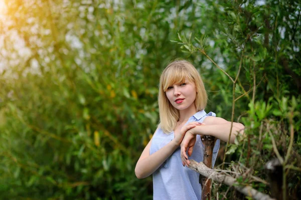 Détente dans une prairie au soleil d'été — Photo